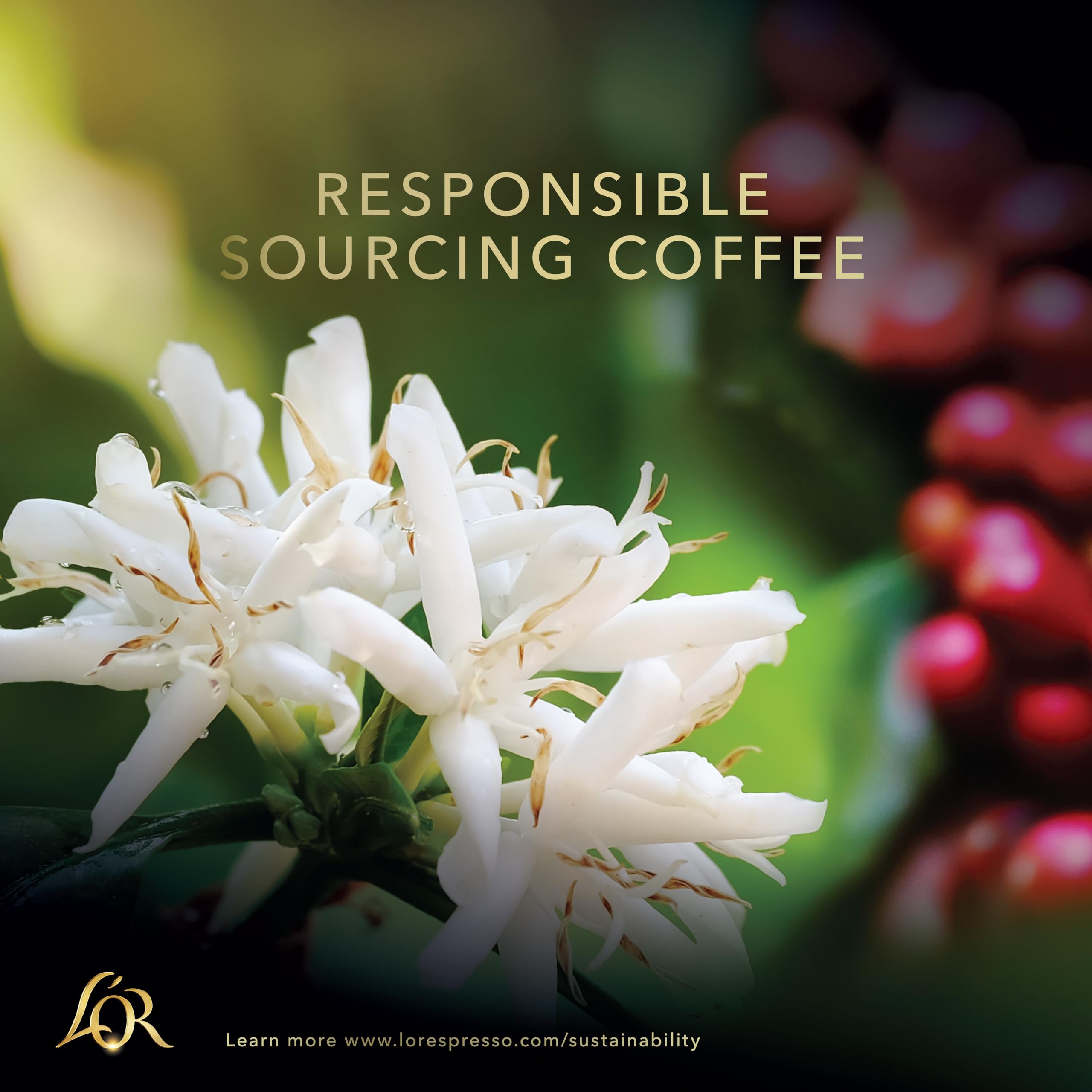 71K_Ktt1yLL_d4d0adc2-9216-4de7-9961-e5f6162c6391