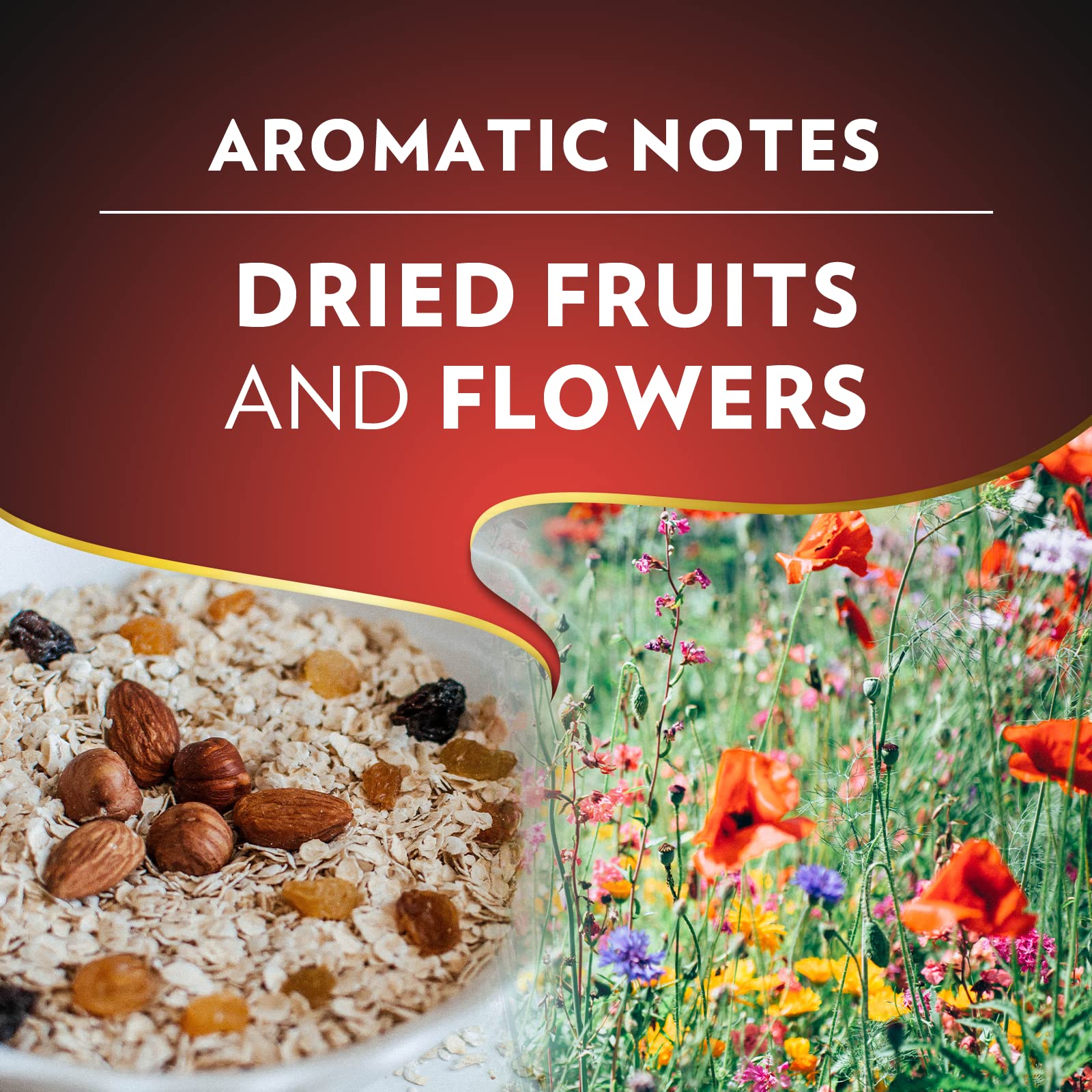 81_dsivwmIL_cc8e5bc8-541f-4841-b89f-879a2bd15b37